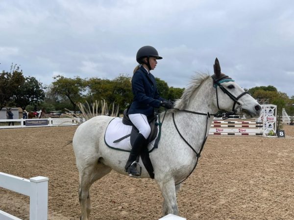 Equestrian news Bella